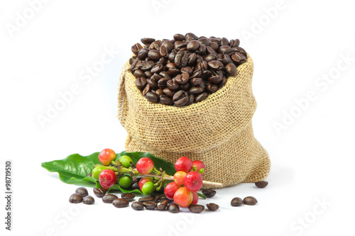 Roasted coffee beans in burlap sack with red and green coffee beans berries.