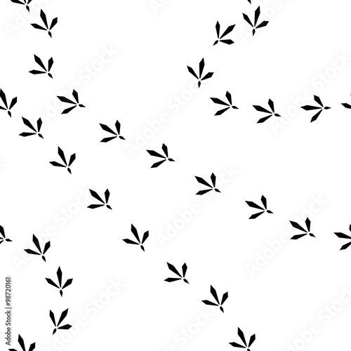 birdprints