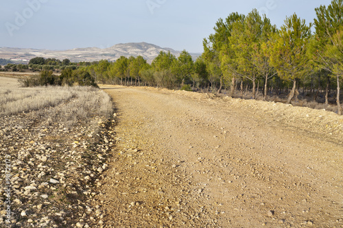 Camino de Zorita de los Canes. Guadalajara