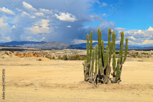 ​big cactuses in red desert, tatacoa desert, columbia, latin america, clouds and sand, red sand in desert, white sand in desert