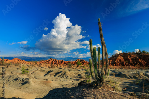 ​big cactuses in red desert, tatacoa desert, columbia, latin america, clouds and sand, red sand in desert, white sand in desert