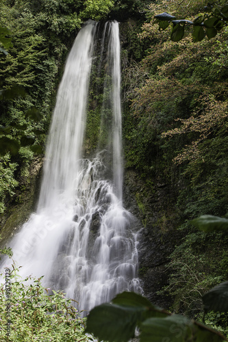 cascata d acqua immersa nel verde 