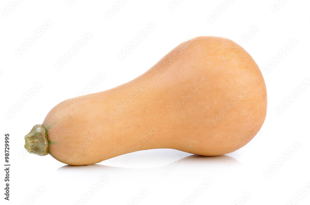 butternut squash on white background butternut squash on white background