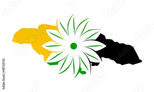 Jamaica Flower