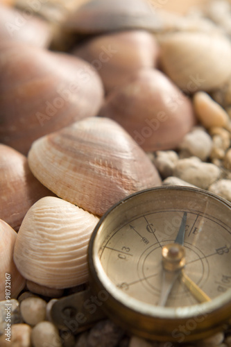 Sea Shells closeup composition with compass