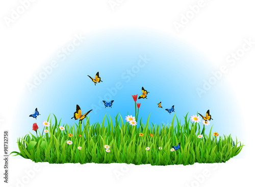 Summer green meadow for your design with butterfly