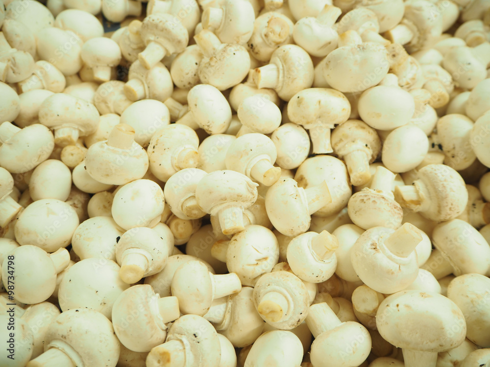 Fresh White Mushroom, Texture Background Fresh White Mushroom, Texture Background