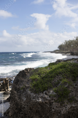 Beautiful wild beach