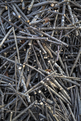 Stockpile of logs