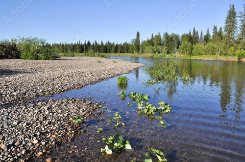 Landscape of the taiga river.