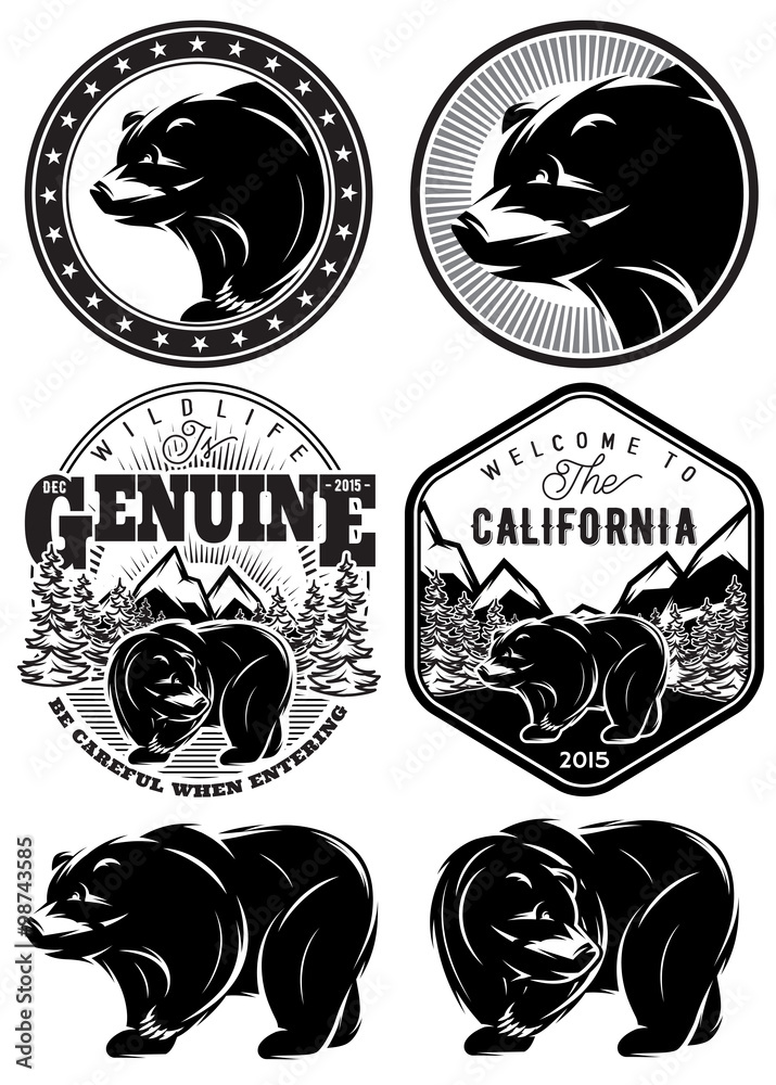 Fototapeta premium set of stylish retro badges with bears forest mountains