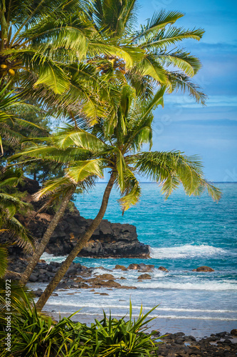 Fototapeta Naklejka Na Ścianę i Meble -  Beautiful Hawaii