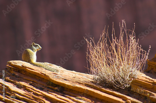 Canyon de Chelle photo