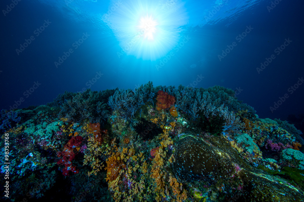 Fototapeta premium ocean travel 