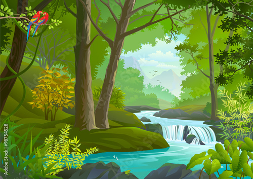 A stream flowing through a dense green forest