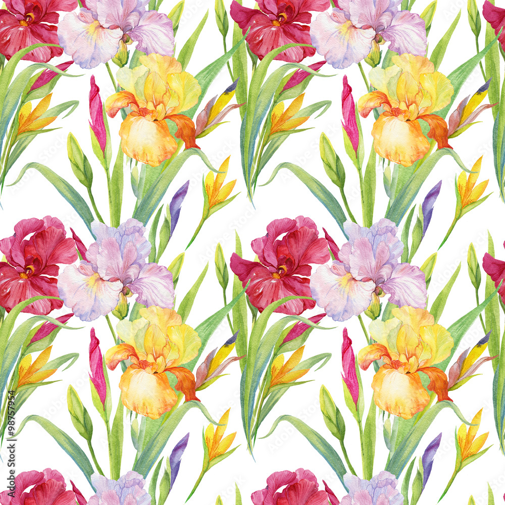 seamless patterns for fabric and Wallpaper ,flowers illustration watercolor iris
