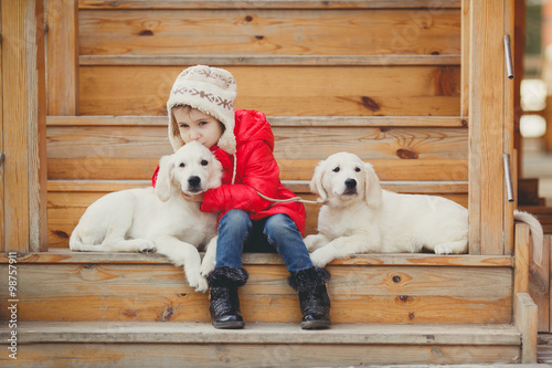 A little girl with two puppy Golden Retriever.