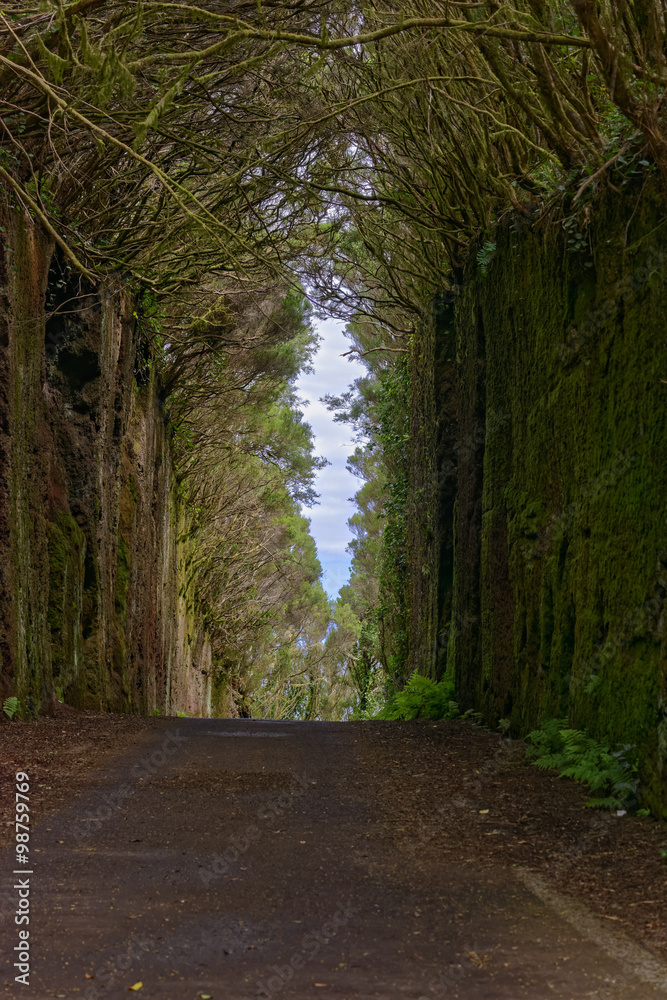 Fototapeta premium Straßenschlucht