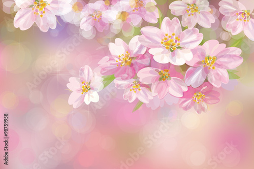  Vector blossoming sakura tree, pink bokeh background.
