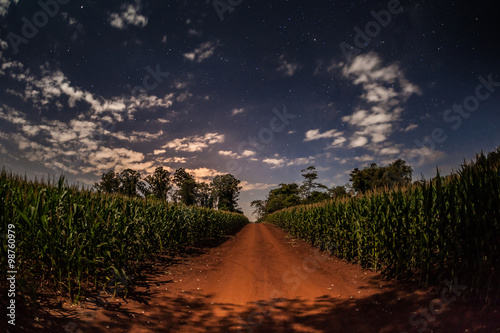 Night Scene of a corn plantation - Sussuí - Palmital - SP - Bra Fototapeta