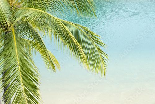 tropical sea resort