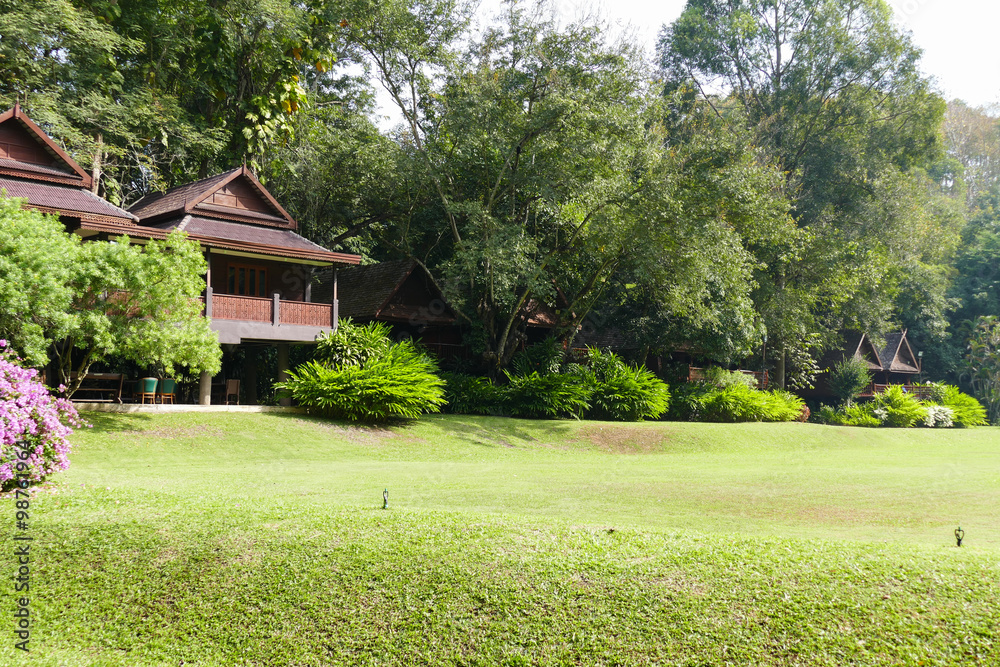 lawn yard in front of wooden traditional house lawn yard in front of wooden traditional house