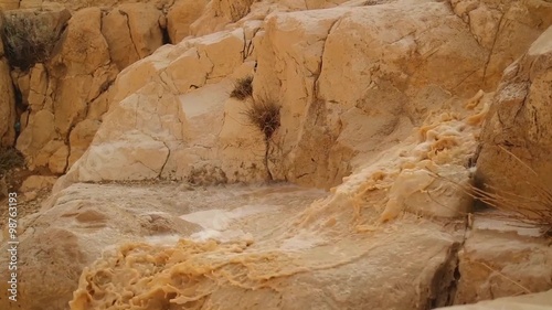 Stream in the Desert