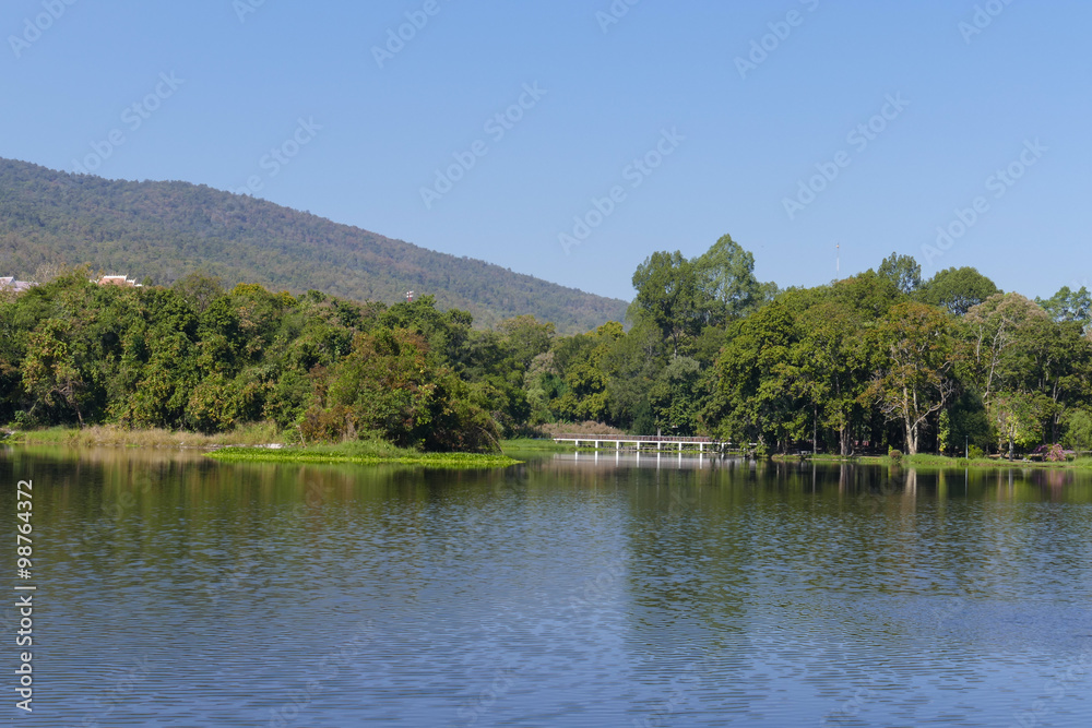 Fototapeta premium the mountain and pond in the park