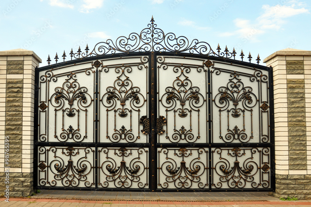 iron gate with wrought ornament on it