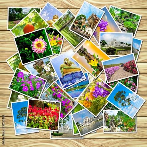 A stack of photographs