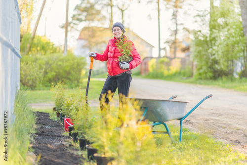 Planting for a greener tomorrow