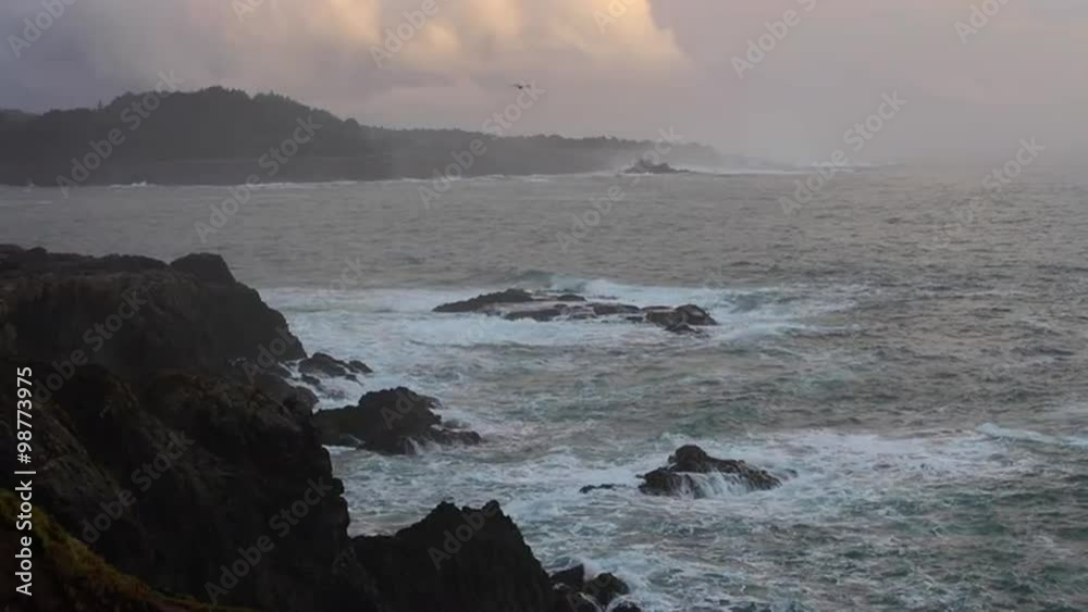 Mendocino, California Coastline
