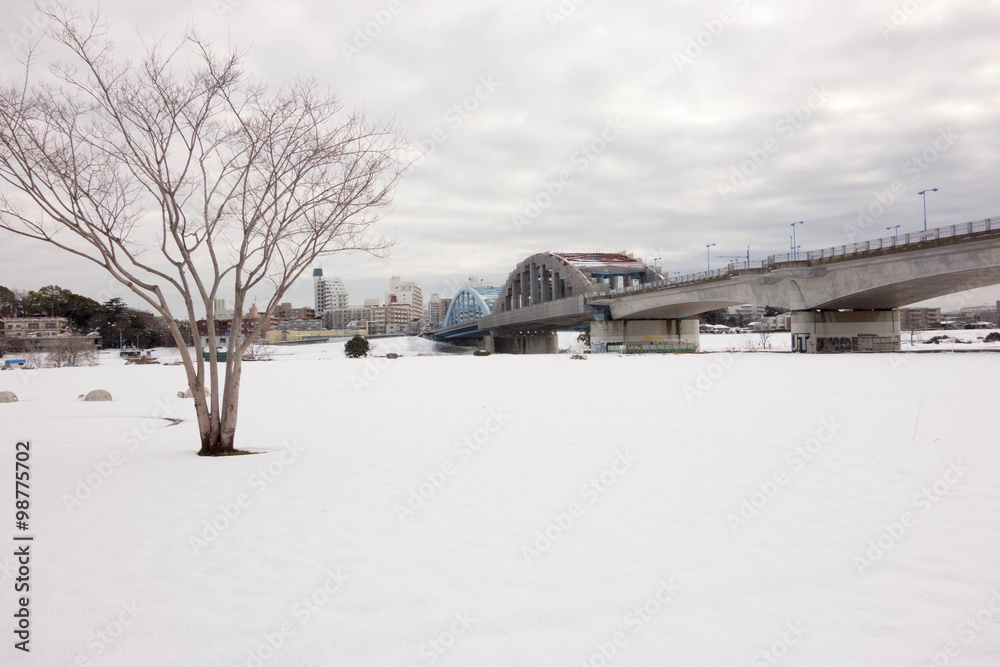 一面雪景色の多摩川河川敷 一面雪景色の多摩川河川敷