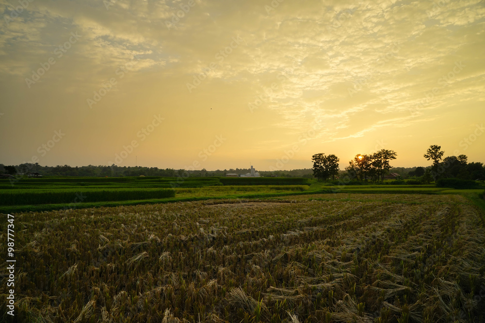 Sunset over the field after harvest