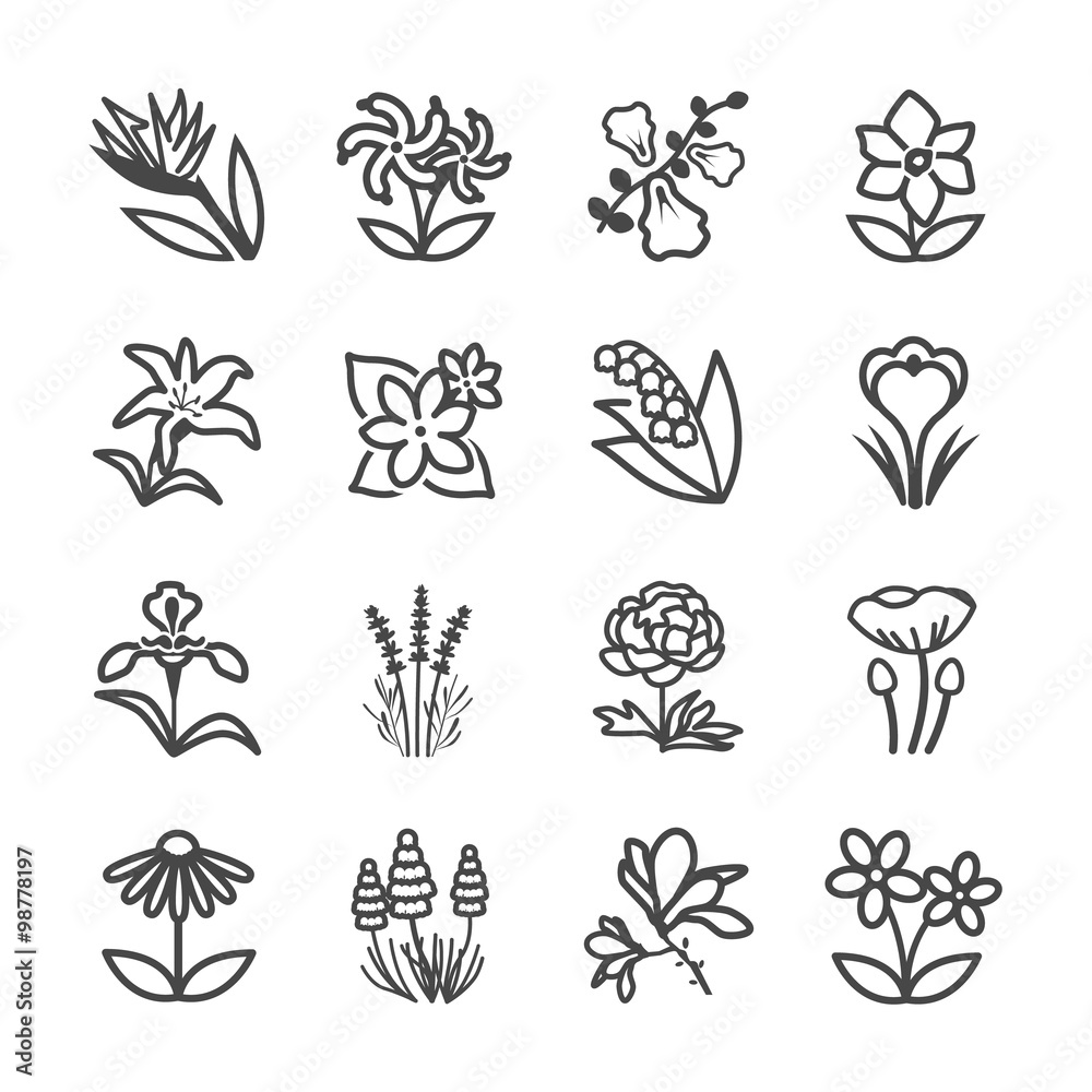 Naklejka premium Famous Flower line icons Set 2