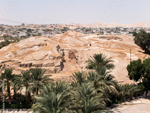 Jericho is a Palestinian city located near the Jordan River in t