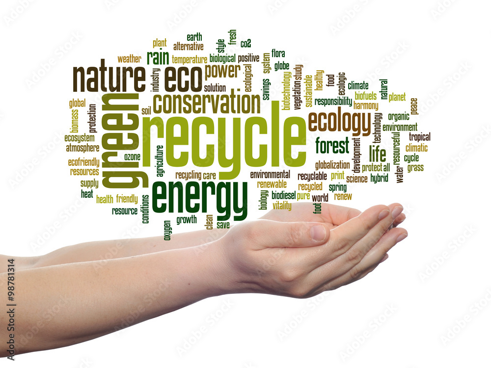 Conceptual ecology word cloud isolated Conceptual ecology word cloud isolated