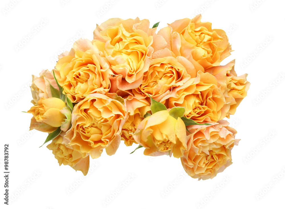 薔薇