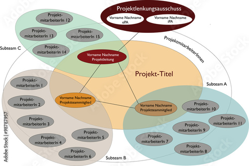 Projektorganisation