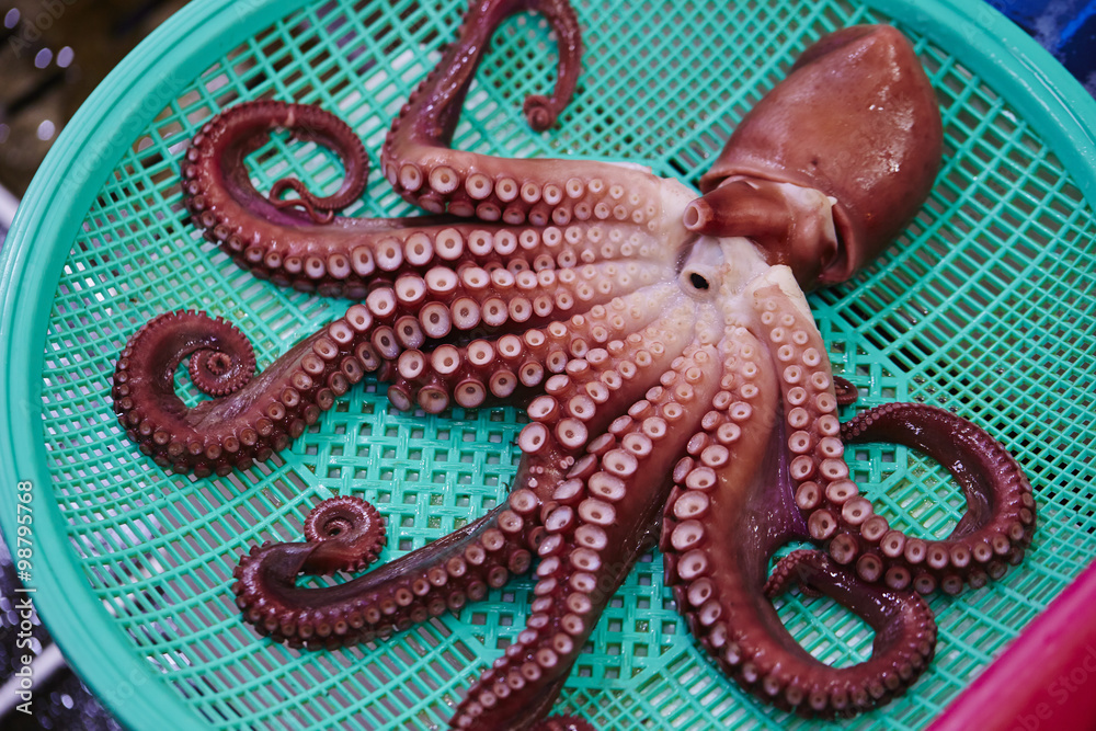 Obraz premium ゆでだこ