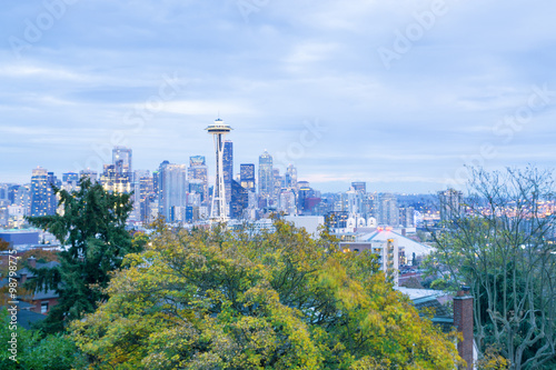 skyline and cityscape from forest