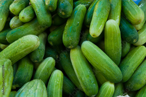 fresh cucumber in thai market