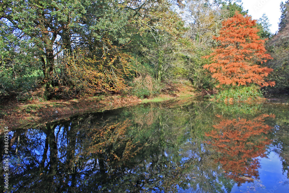 Lake in Autumn Lake in Autumn