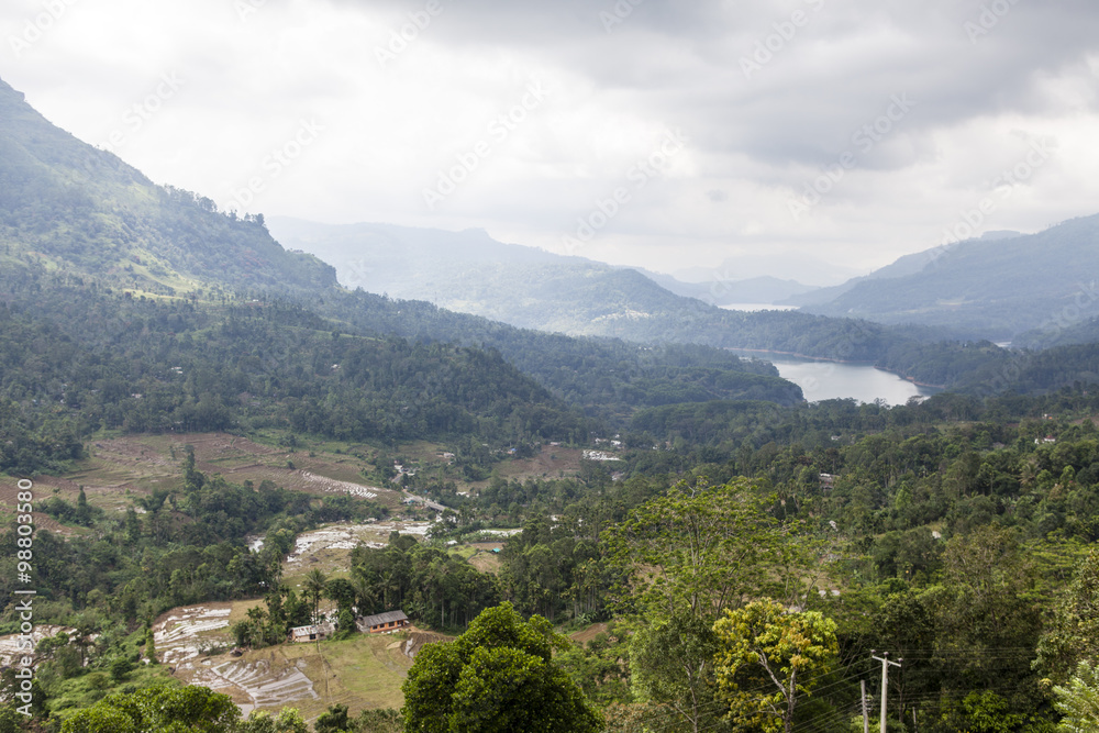 Green hills and mountains in the Hill Country around Nuwara Eliya in Central Sri Lanka - Asia