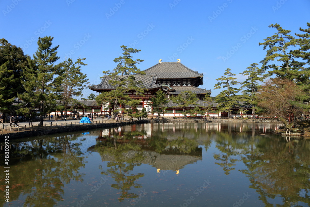 Obraz premium 奈良公園