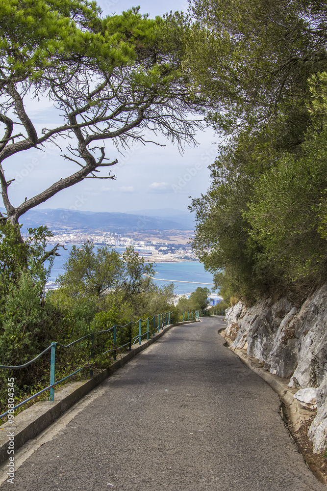 Obraz premium hiking trail in the reserve Alameda along the Rock of Gibraltar in Gibraltar, UK