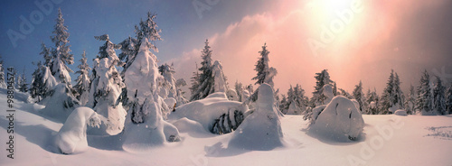 Severe winter landscape