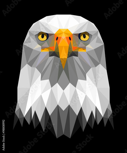 sea eagle head