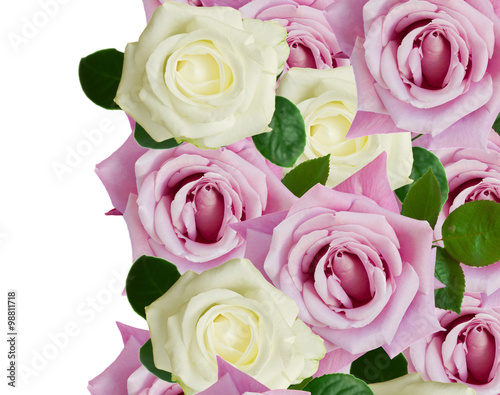 pink and white roses border