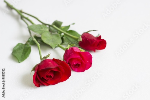 Beautiful roses as a symbol of love on Valentine s Day and every other day.